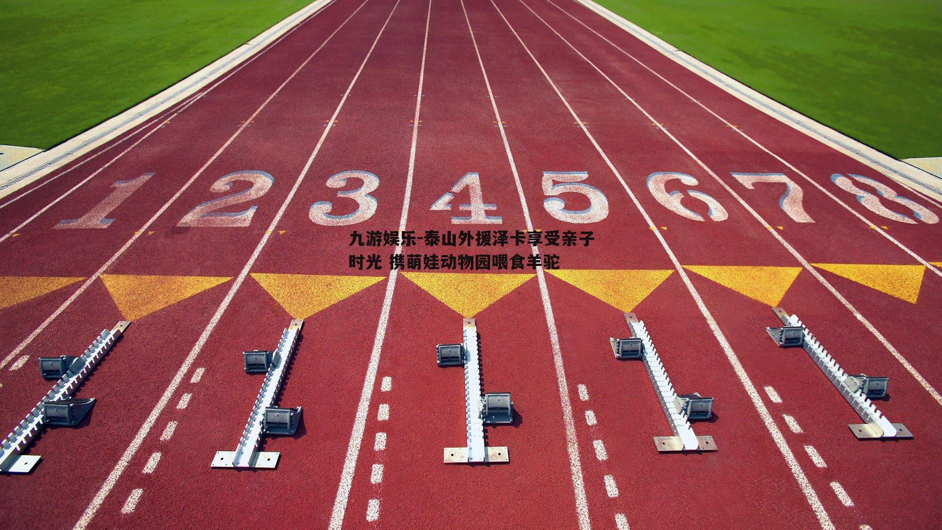 九游娱乐-泰山外援泽卡享受亲子时光 携萌娃动物园喂食羊驼